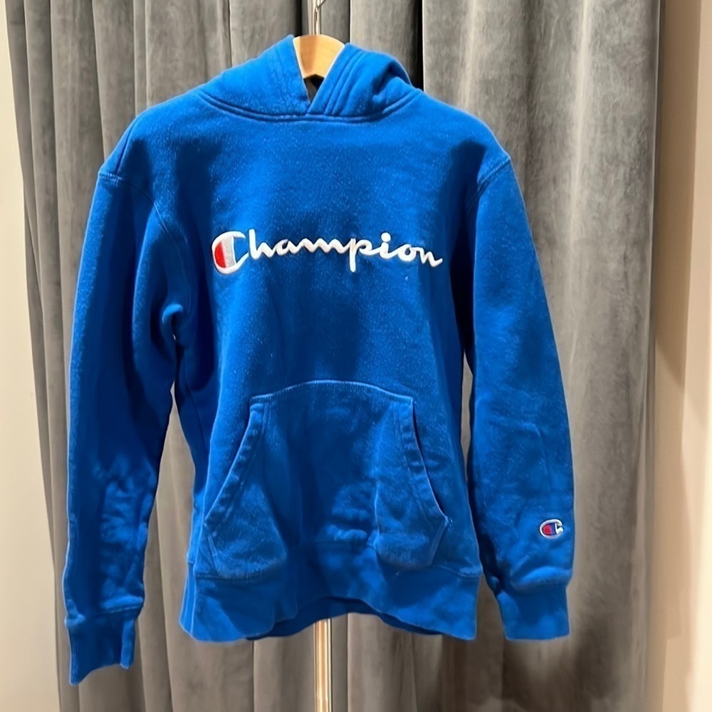 Champion Sherpa lined hood sweatshirt